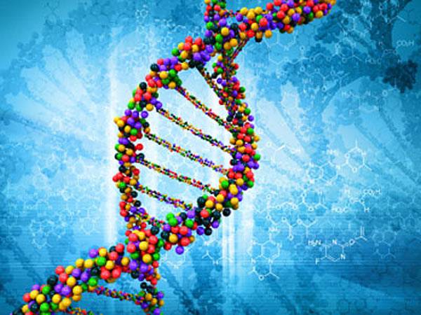 عامل بروز سرطان تاثیر ژنتیک در سرطان تاثیر جهش dna در سرطان ارتباط جهش ژنی با سرطان 