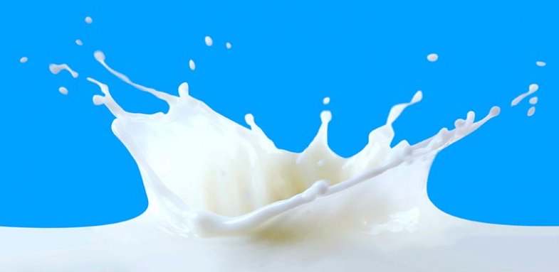 نسل جدید شیر بسیار مفید تر و پر خاصیت تر خواهد بود