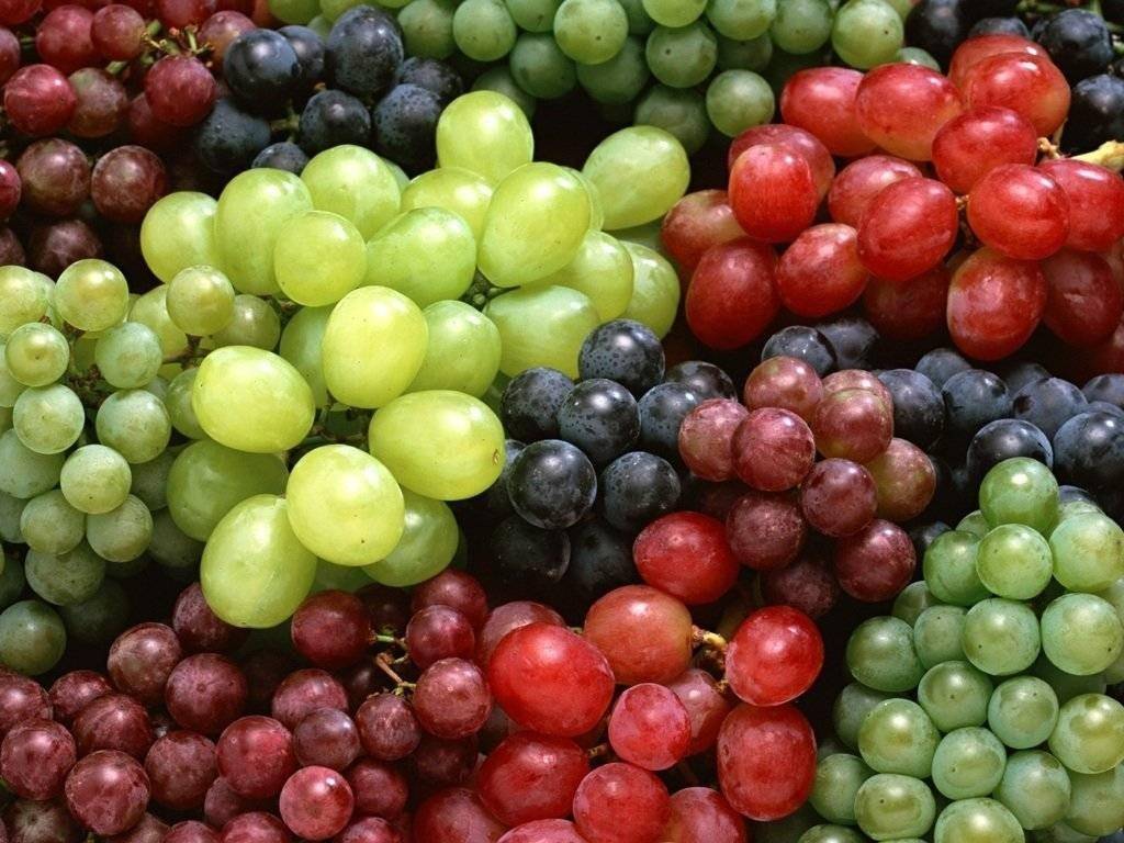 اهمیت مصرف انگور برای حفظ سلامتی بدن