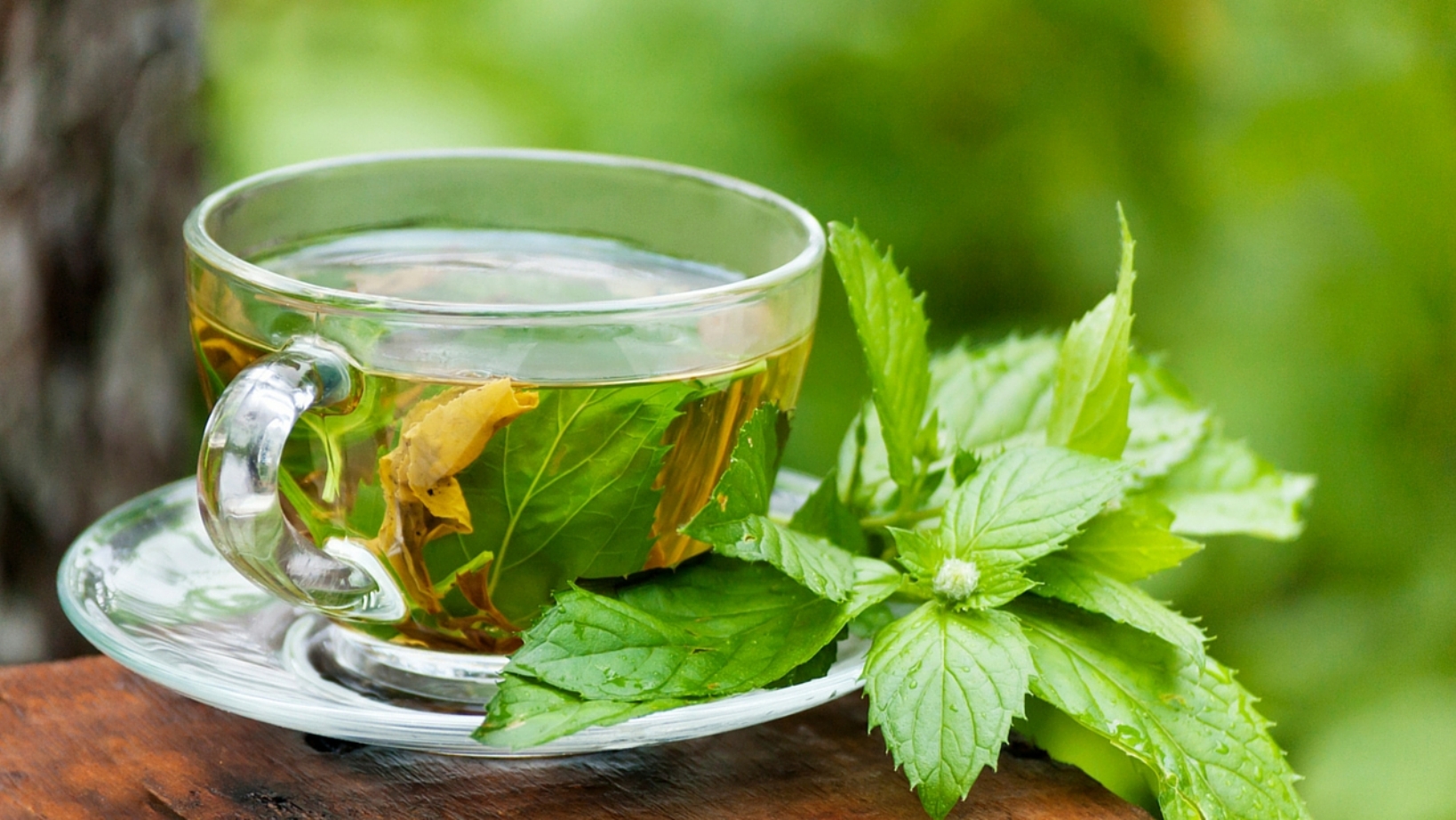 بهبود عملکرد مغز با مصرف چای سبز