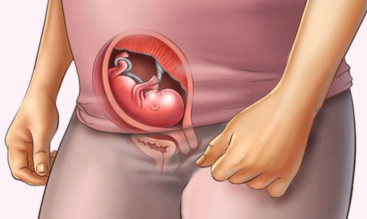ماه اول بارداری و مراقبت های لازم