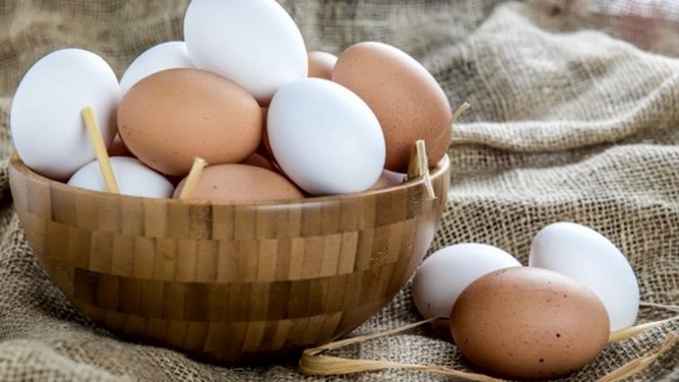 فواید سفیده تخم مرغ فواید پودر سفیده تخم‌ مرغ سفیده تخم مرغ خواص سفیده تخم مرغ پودر سفیده تخم‌ مرغ 