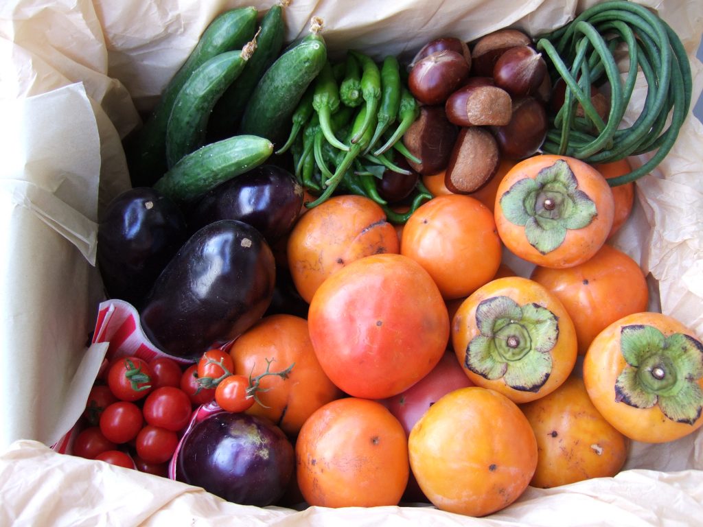 فواید میوه های پاییزی برای سلامتی