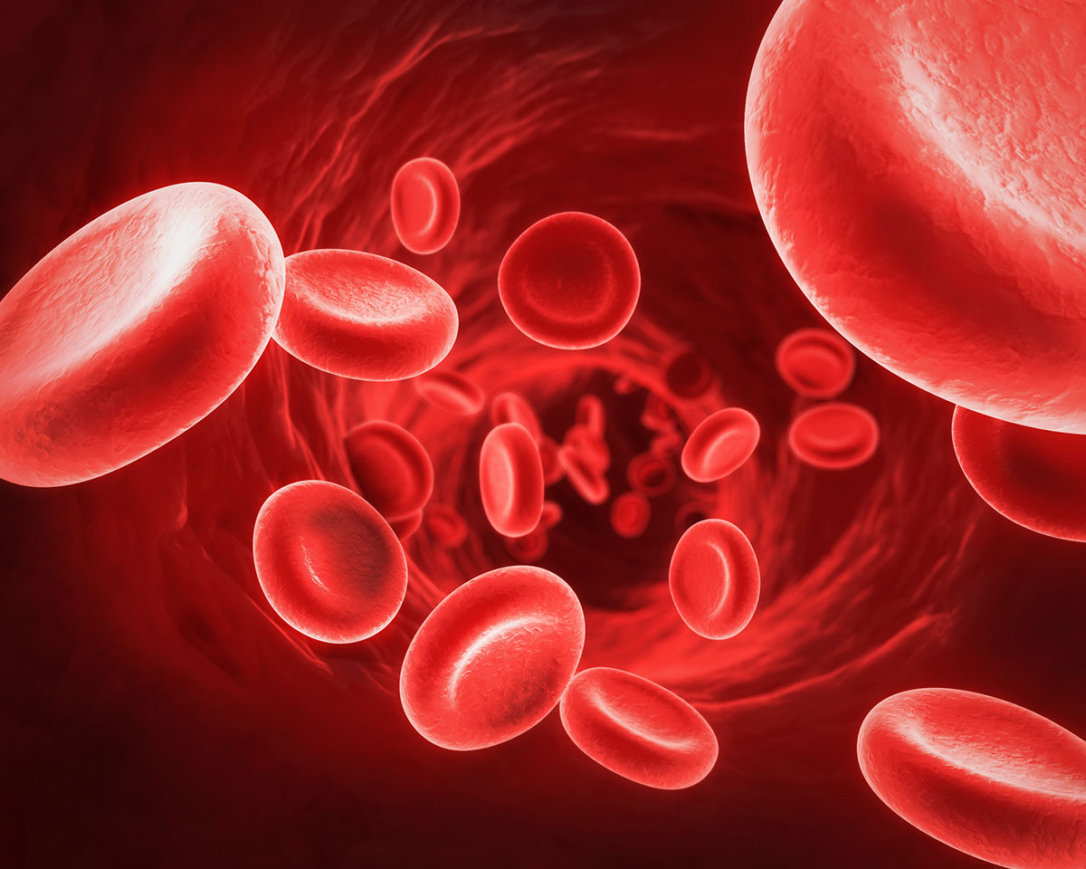 افزایش سطح پلاکت های خون