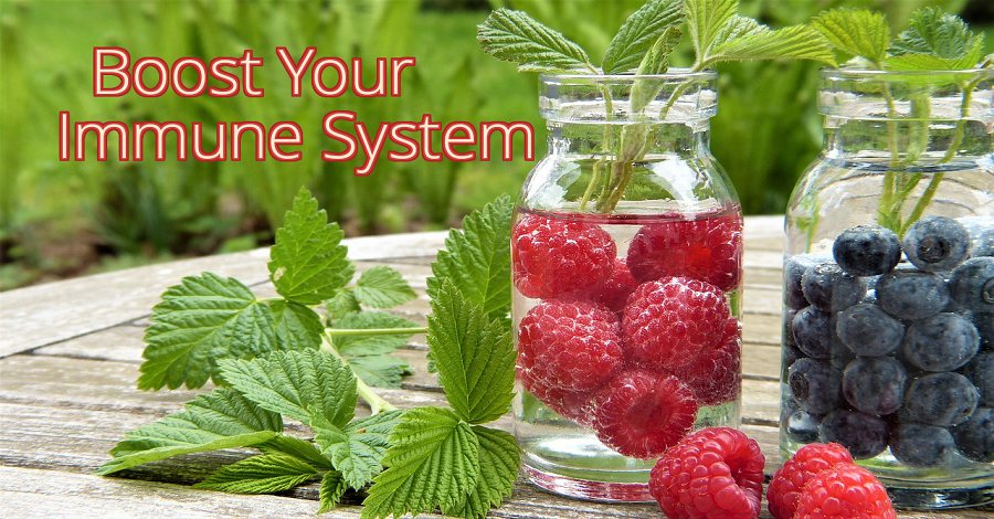 تقویت سیستم ایمنی بدن با برخی محصولات خوراکی