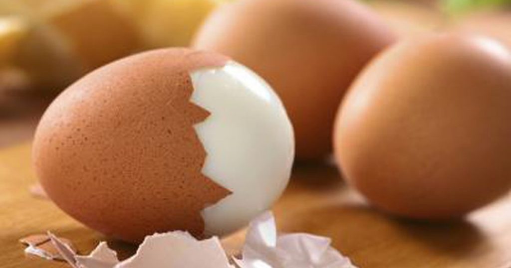 تاثیر تخم مرغ بر رشد کودکان