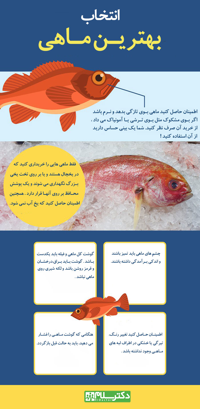 صخره ماهی,فواید صخره ماهی,عوارض صخره ماهی,انواع صخره ماهی