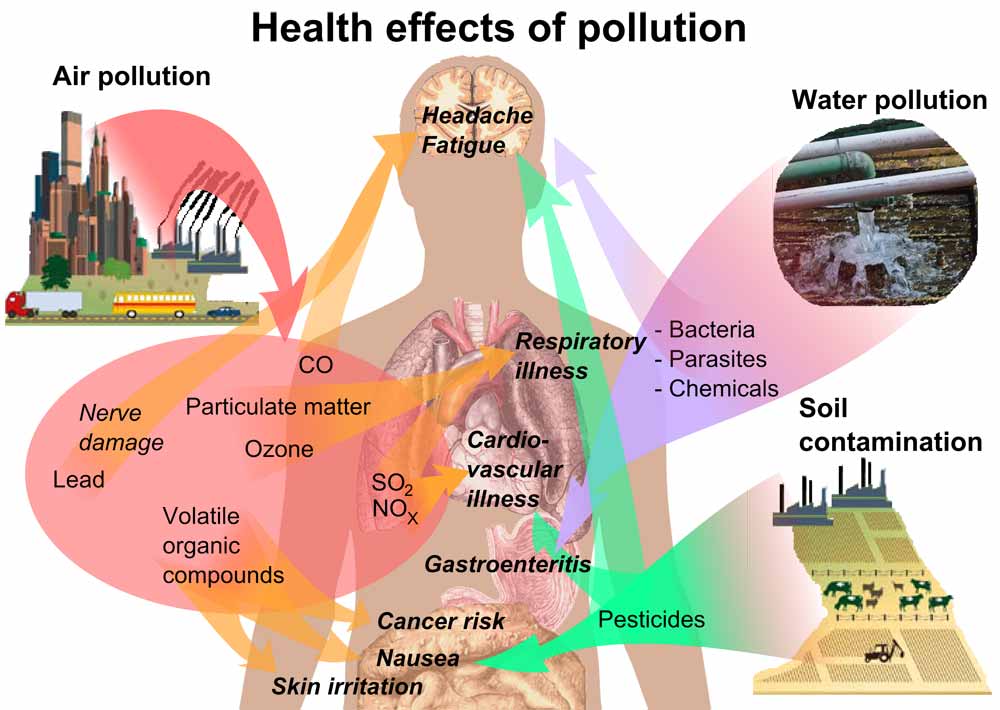 آلودگی هوا زمینه ایجاد بیماریهای عفونی را فراهم میکند