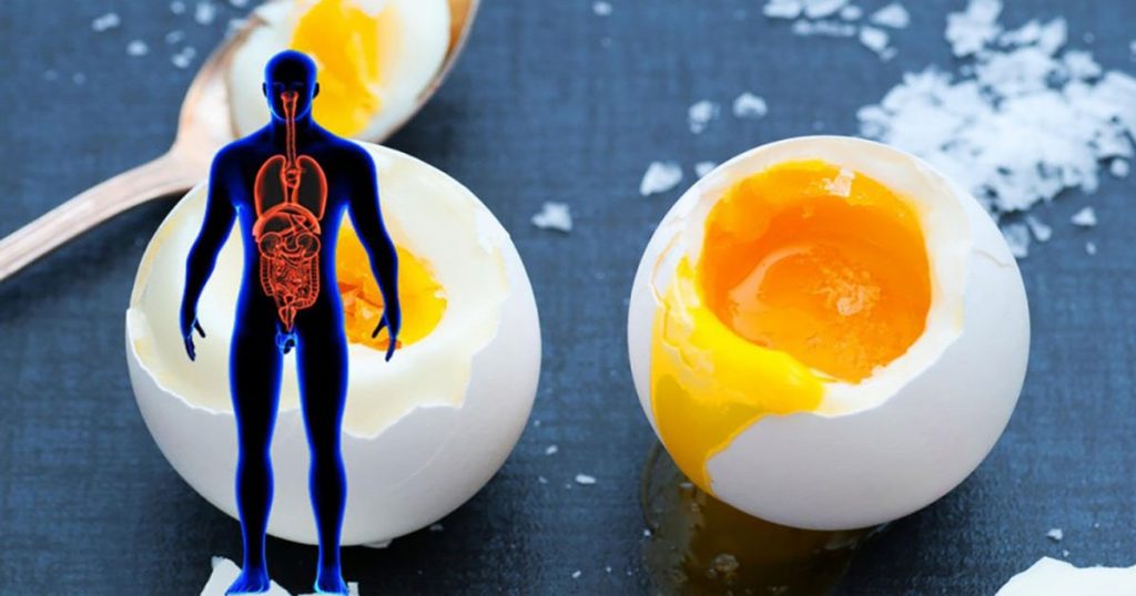 مزایای مصرف تخم مرغ کامل برای بدن