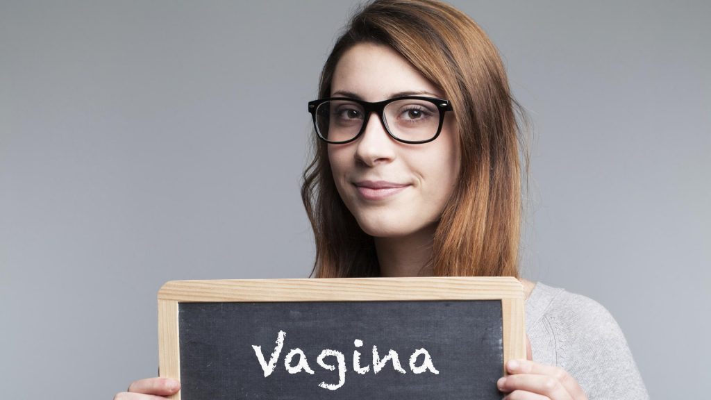 بررسی بخش های تشکیل دهنده واژن