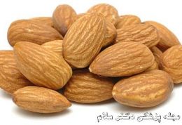 فواید و خواص داروئی مغز دانه گیاه و روغن بادام تلخ