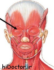 توصیه دکتر میرزایی :زخمهای سر و گردن را جدی بگیرید