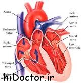 مراقب بیماری های قلبی باشید