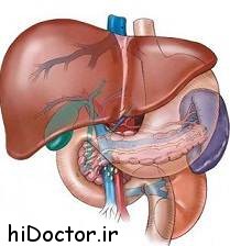 در ماه رمضان چگونه کبد خودرا پاکسازی کنیم