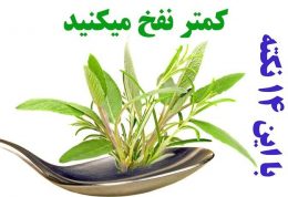 با این 14 نکته کمتر نفخ میکنید