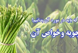 سبزی که باید درمورد آن بدانیم :مارچوبه و خواص آن