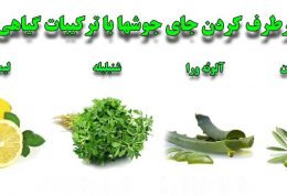 برطرف کردن جای جوشها با ترکیبات گیاهی