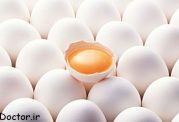 آیا تخم مرغ لاغر کننده است؟