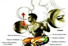 چگونه با وزنه عضله سازی کنیم