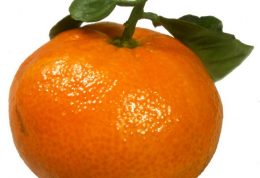خواصی چند از نارنگی