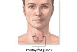 هورمونهای تیروئید چرا پرکار می شوند؟