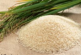 چرا باید برنج بخوریم