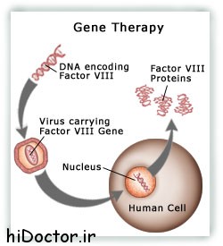 کاملترین اطلاعات  درباره ژن درمانی