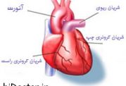 درمان انسداد عروق کرونری قلب با طب سنتی