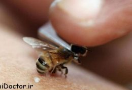 درمان نیش زنبور عسل با میوه ها