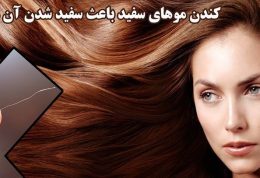 آیا افزایش موهای سفید بخاطر کندن آنها است؟