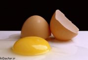نکاتی مهم در رابطه با مصرف تخم مرغ