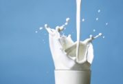 بررسی انواع شیر و میزان مقوی بودن آن
