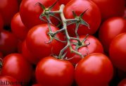 گوجه فرنگی و خواص آن را بهتر بشناسید