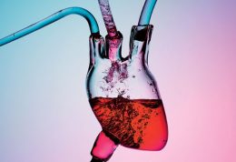 وقفه‌ تنفسی (خرناس) با بیماری های گوارشی و قلبی چه ارتباطی دارد؟