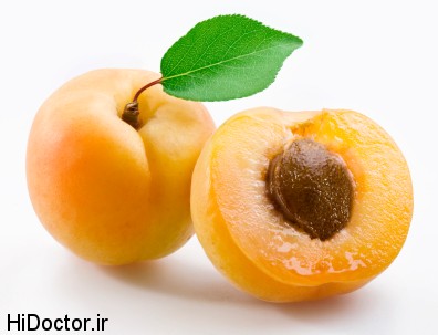 aks zardaloo apricot photos 12 