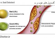 اچ دی ال HDL خوب است یا ال دی ال LDL؟