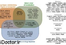 درک بهتر بیماریهای متابولیکی با اطلس جدید مولکولی
