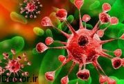 آخرین اخبار و آمار منتشر شده درباره ویروس کرونا