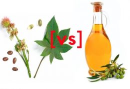 روغن تقویت مو:  مقایسه  روغن کرچک و روغن زیتون