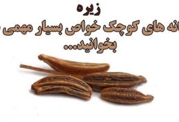 این دانه کوچک خواص بسیار مهمی دارد بخوانید