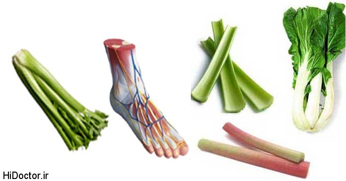 Celery bones بی نظیر ترین شباهت میوه های مختلف به اندام بدن انسان