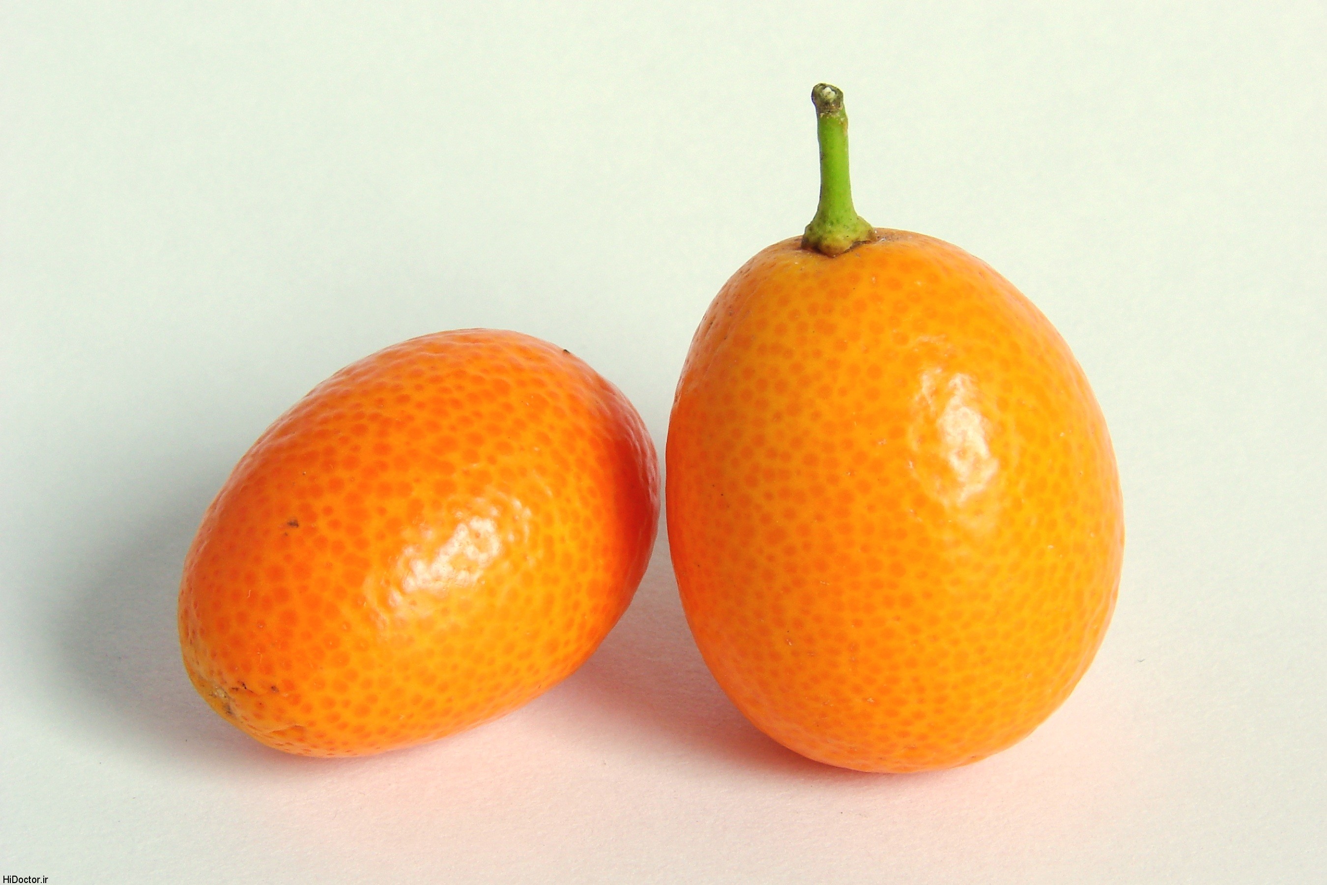 Kumquat 0245 چه میزان درباره این میوه اطلاع دارید