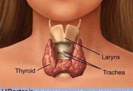 ژنتیکی بودن بیماری تیروئید تائید شد