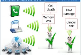 مضرات تلفن همراه برای دیگر عضو حیاتی  بدن