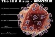 چقدر زمان لازم است تا HIV موجب ایجاد ایدز شود؟