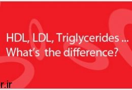 کلسترول خوب (HDL)‌  با  کلسترول بد (LDL) چه فرقهایی دارد؟