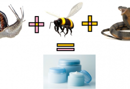 درمان بیماریهای لاعلاج با زهر زنبور عسل، مار و عقرب