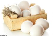 20 دلیل برای اینکه باید در رژیم غذایتان تخم مرغ باشد