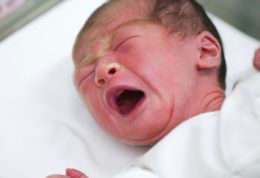 در رشد نوزادان نارس  چربی شیر انسان چه تاثیری دارد؟