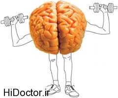 علت چاقی را در مغزتان جستجو کنید